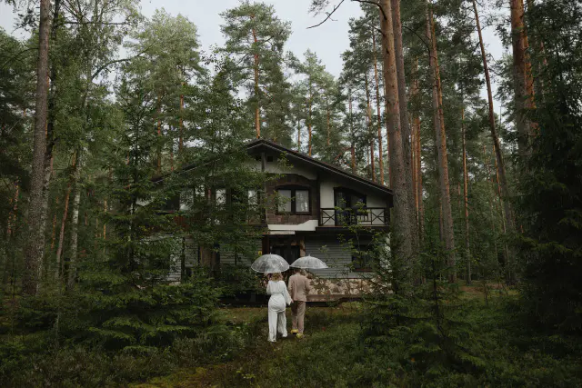 Лесная рапсодия 